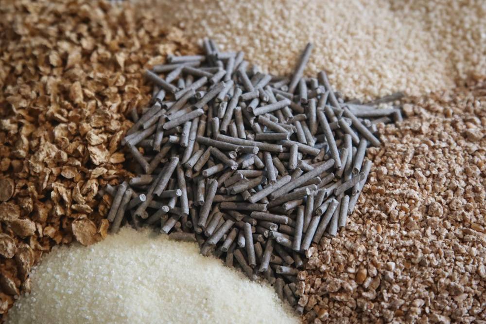 5 Best Flushable Cat Litters Review Roundup 2025