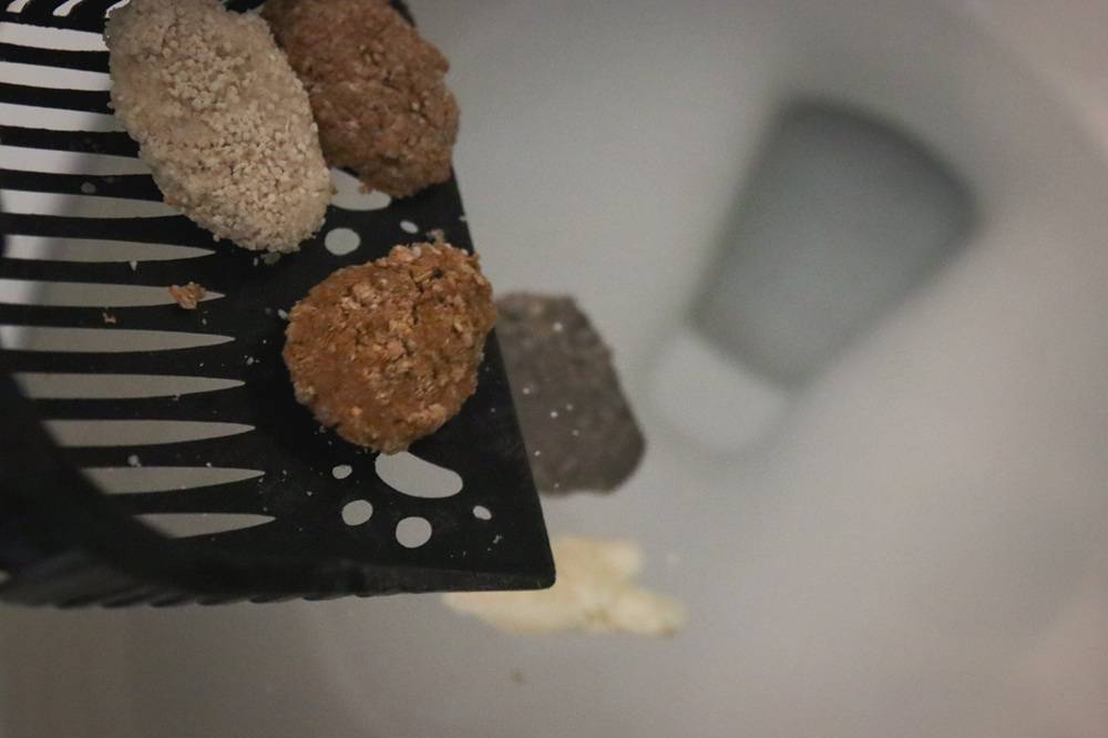 5 Best Flushable Cat Litters Review Roundup 2025