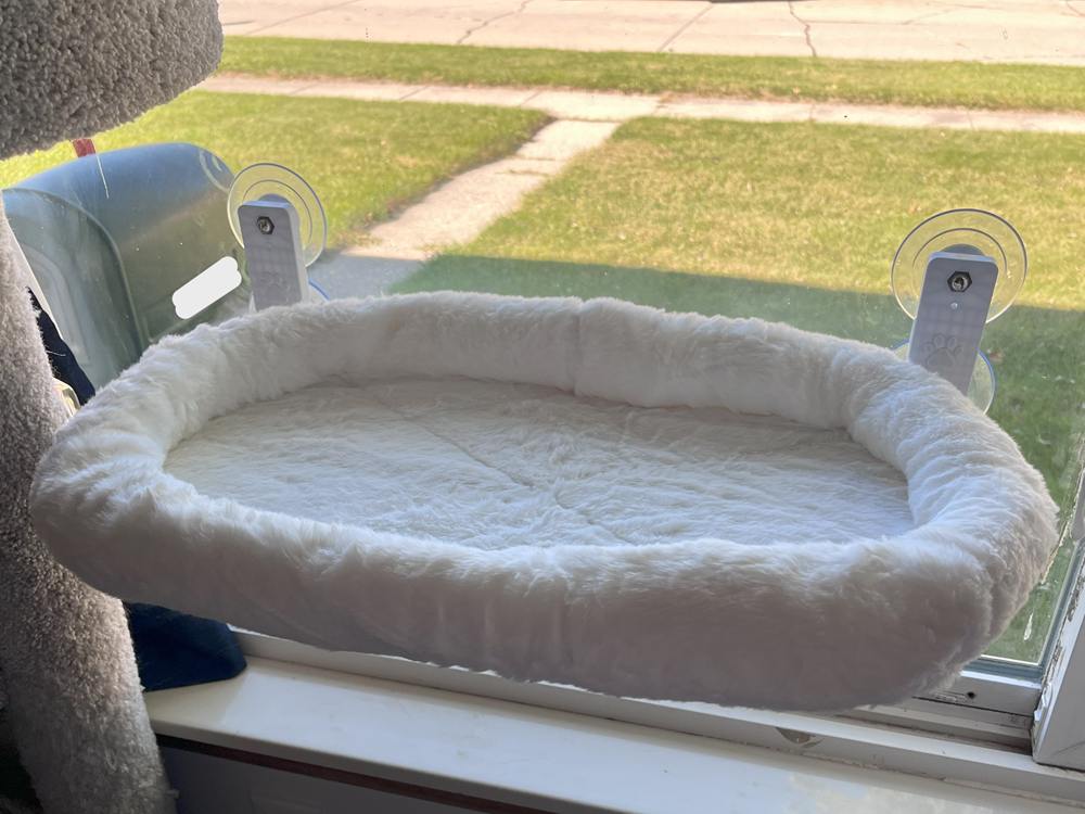 AMOSIJOY Cat Window Perch