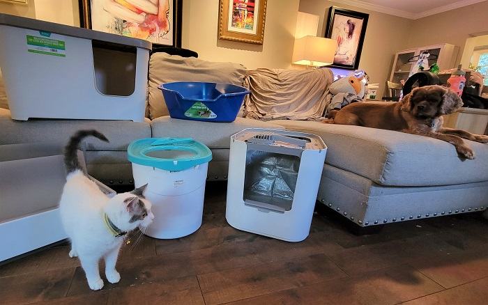 types of cat litter boxes