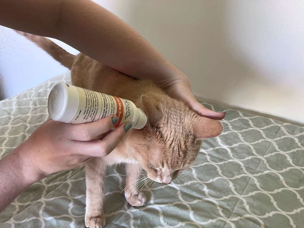 Arava Natural Ear Mite Treatment