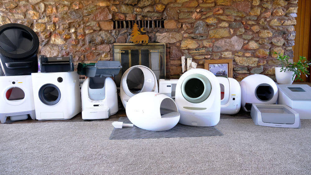 Best Automatic Self-Cleaning Litter Boxes