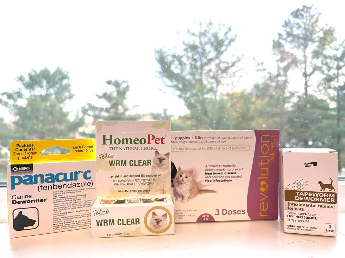 best cat dewormer products