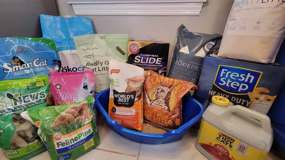 best cat litter products