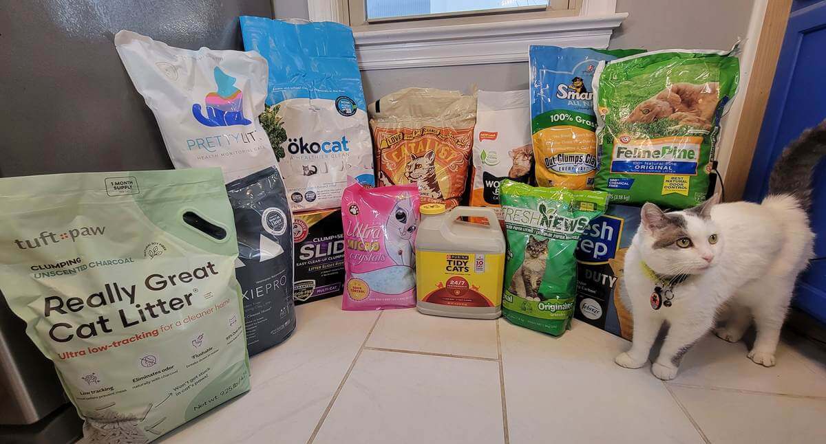 best cat litter products