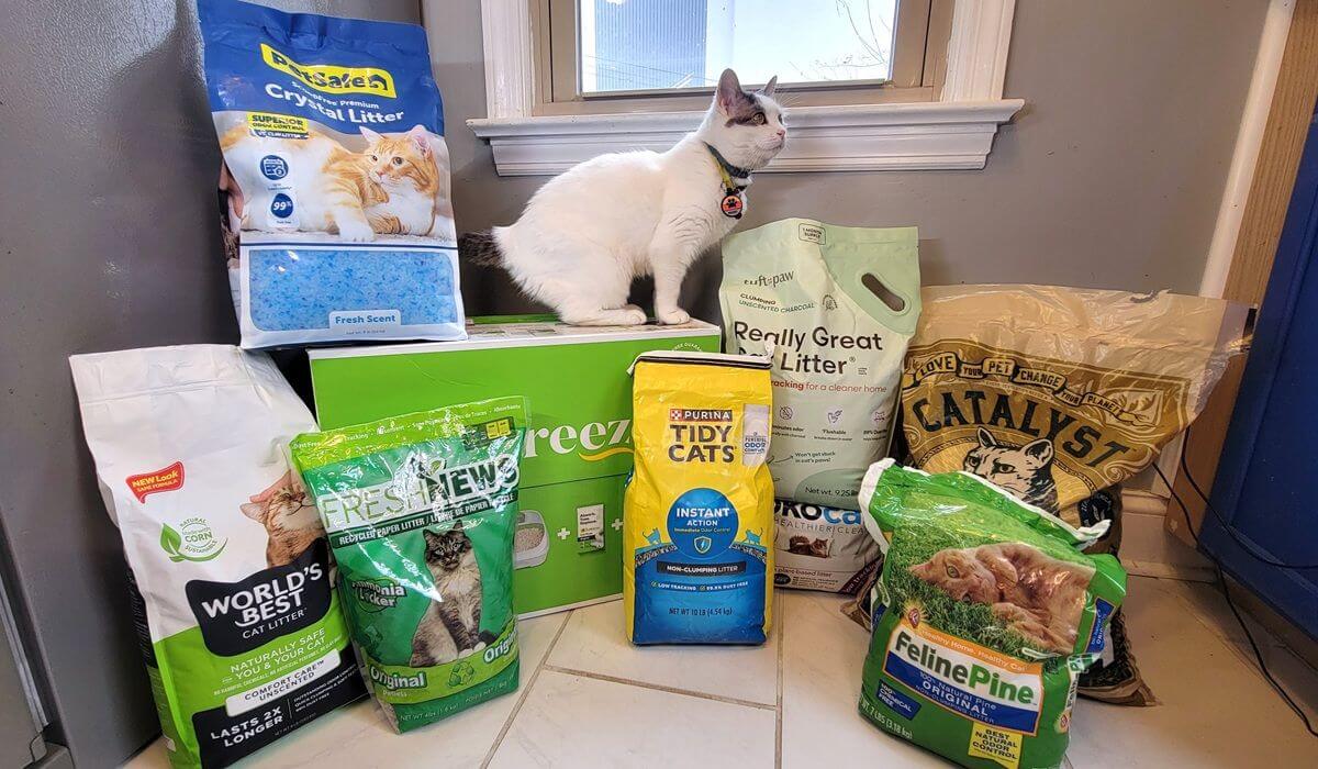 Best Non-Tracking Cat Litters