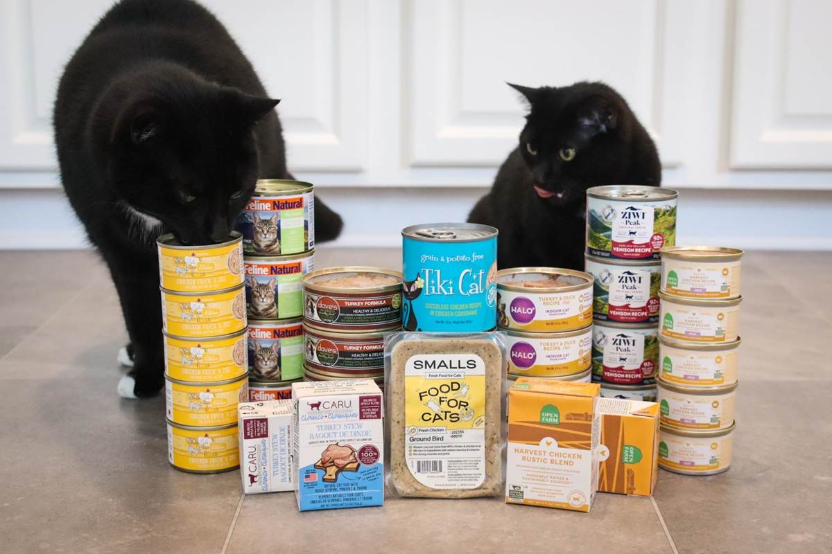 Best Wet Canned Cat Food 2025 Review Roundup