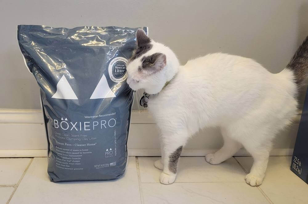 Boxiecat Probiotic Clumping Clay Litter