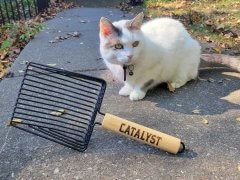 Catalyst Pet Slatted Steel Cat Litter Scoop