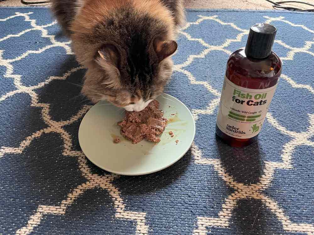 Deley Naturals Fish Oil Supplement