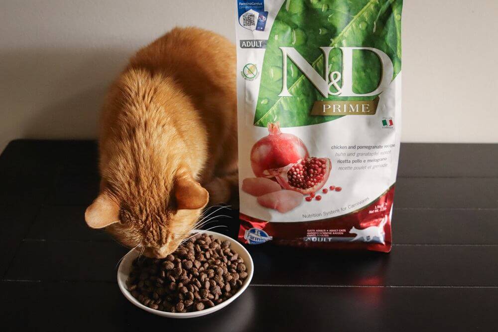 Farmina Natural & Delicious Chicken Grain-Free Formula Dry Cat Food