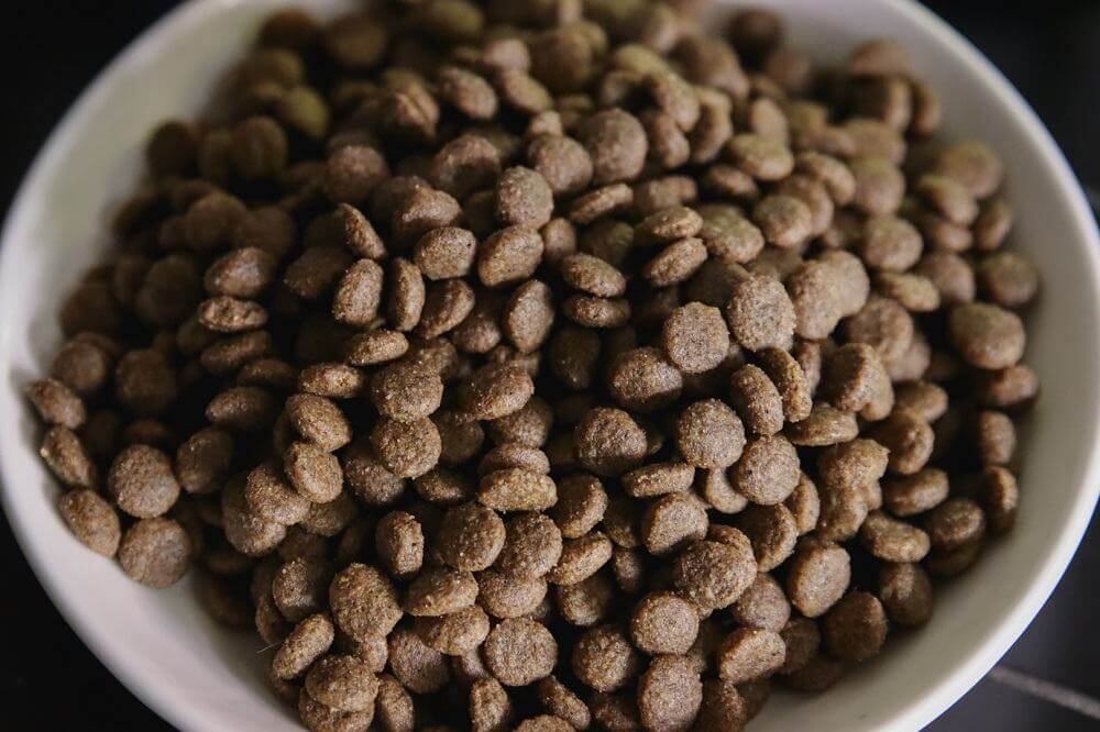 Farmina Natural & Delicious Wild Boar Grain-Free Formula Dry Cat Food