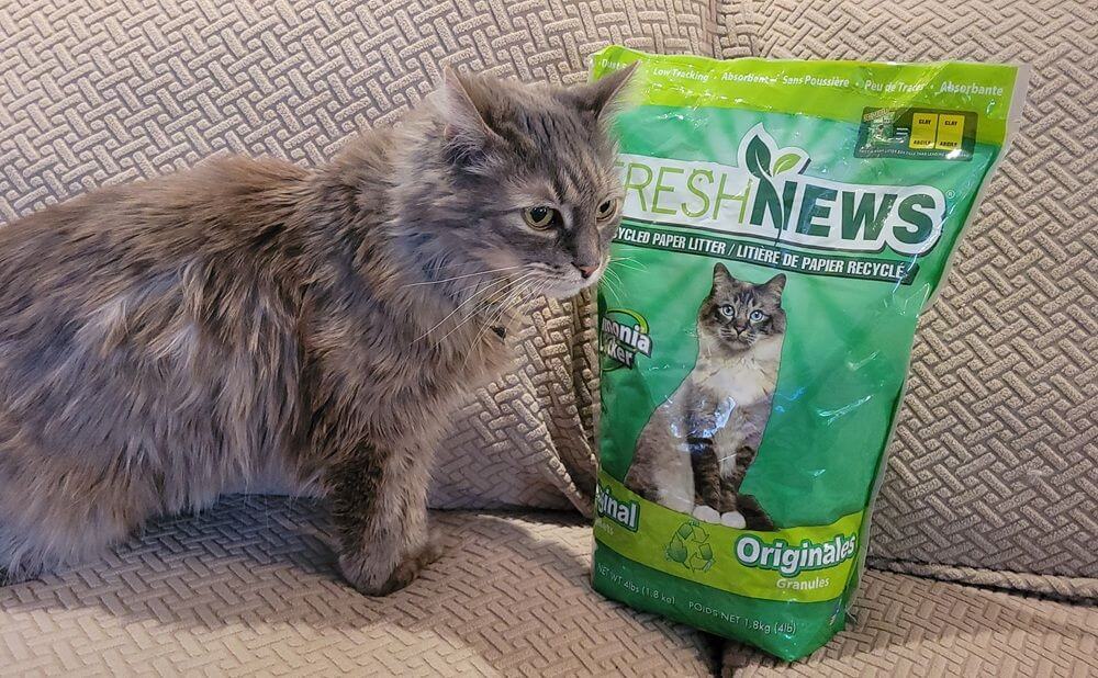 Fresh News Unscented Non-Clumping Paper Cat Litter