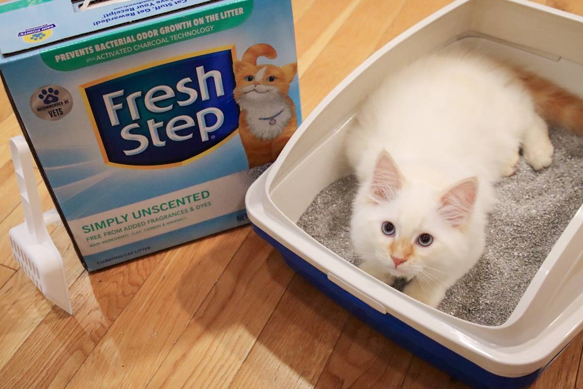 Fresh Step Simply Unscented Clumping Cat Litter