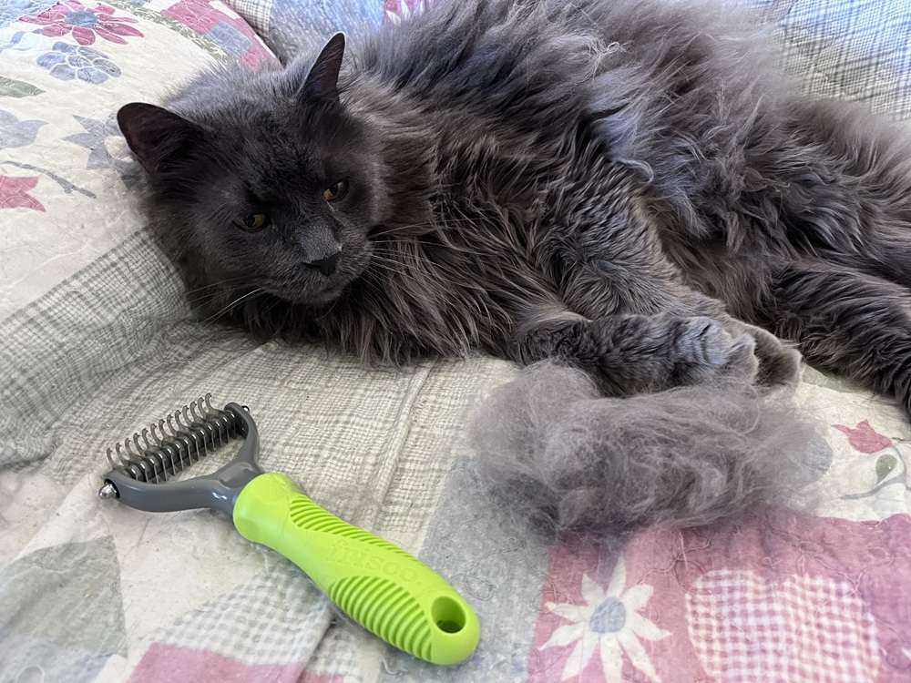 Frisco Dematting Double-Sided Rake