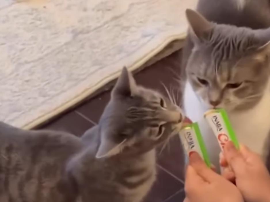 George’s origin story