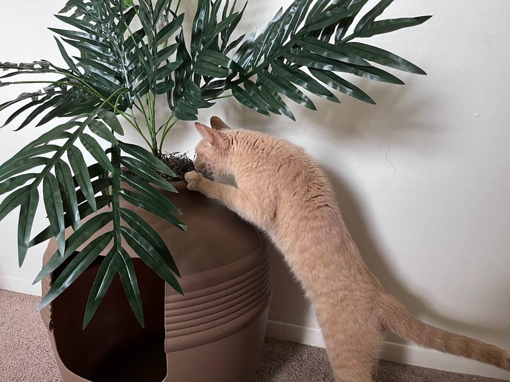 Good Pet Stuff Hidden Cat Litter Planter