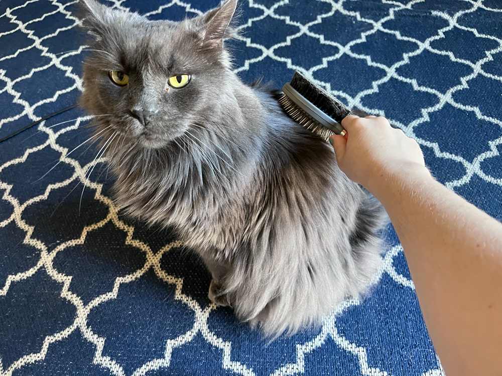 GoPets Professional Double-Sided Pin & Bristle Brush