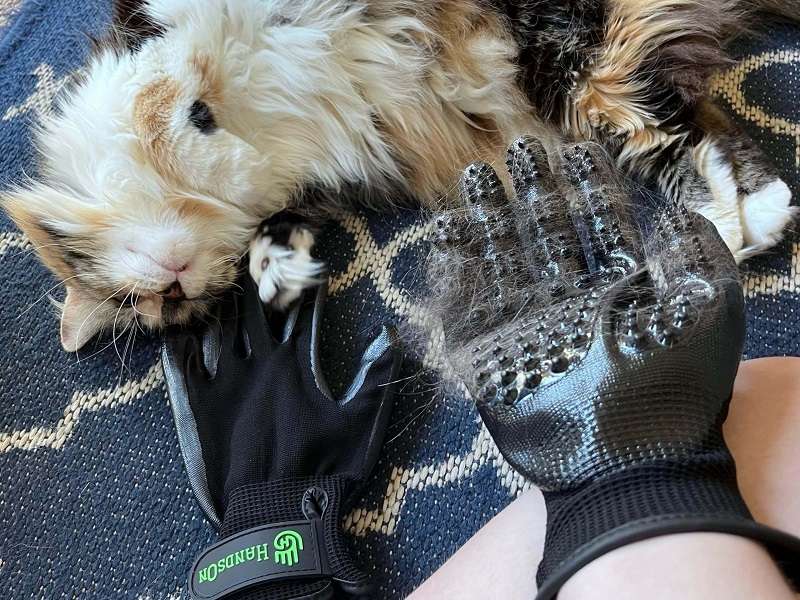 HandsOn All-In-One Pet Bathing & Grooming Gloves
