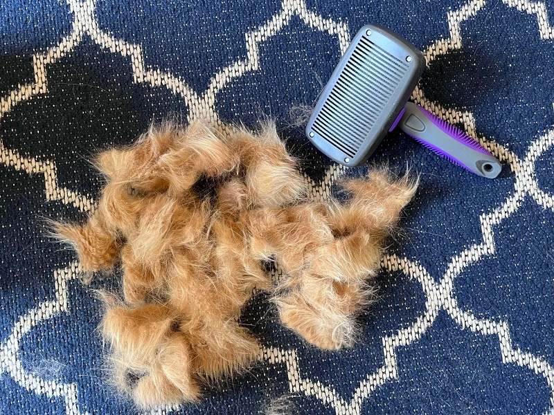 Hertzko Self-Cleaning Slicker Brush