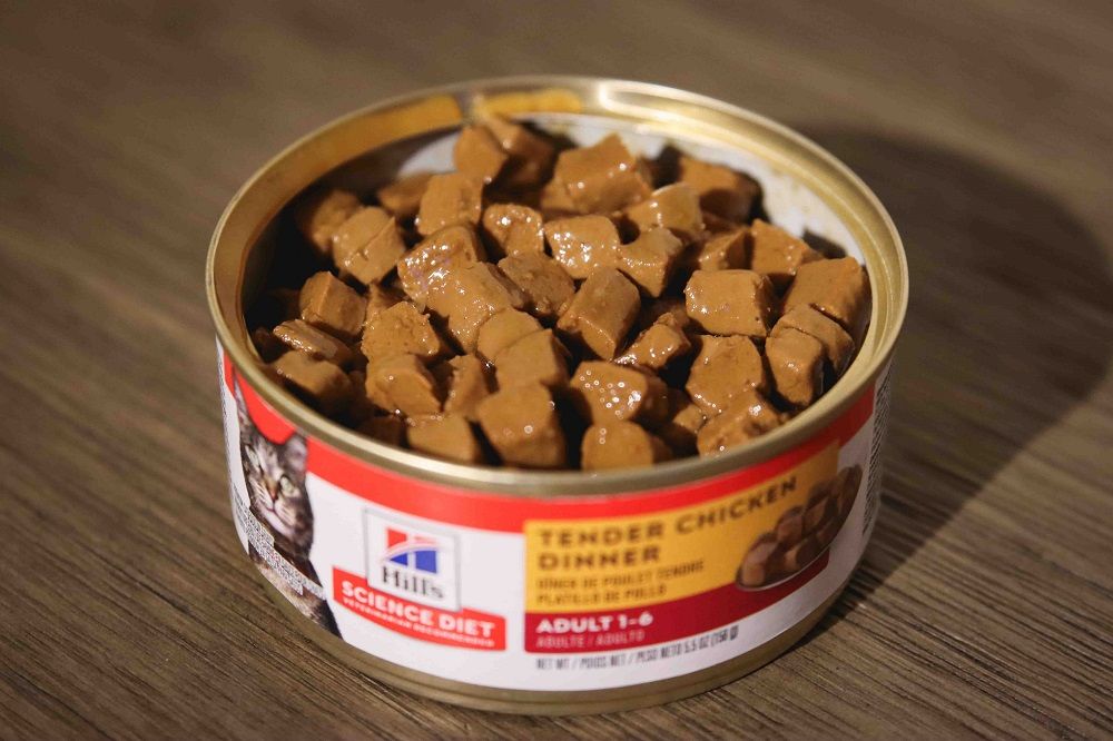 Hill’s Science Diet Adult Tender Dinner Chunks & Gravy Cat Food