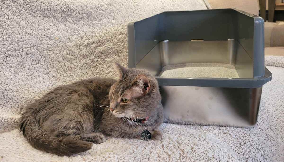 iPrimio Stainless Steel Cat Litter Box