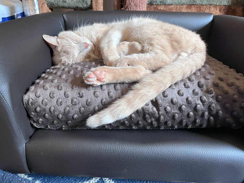Keet Fluffy Deluxe Pet Sofa