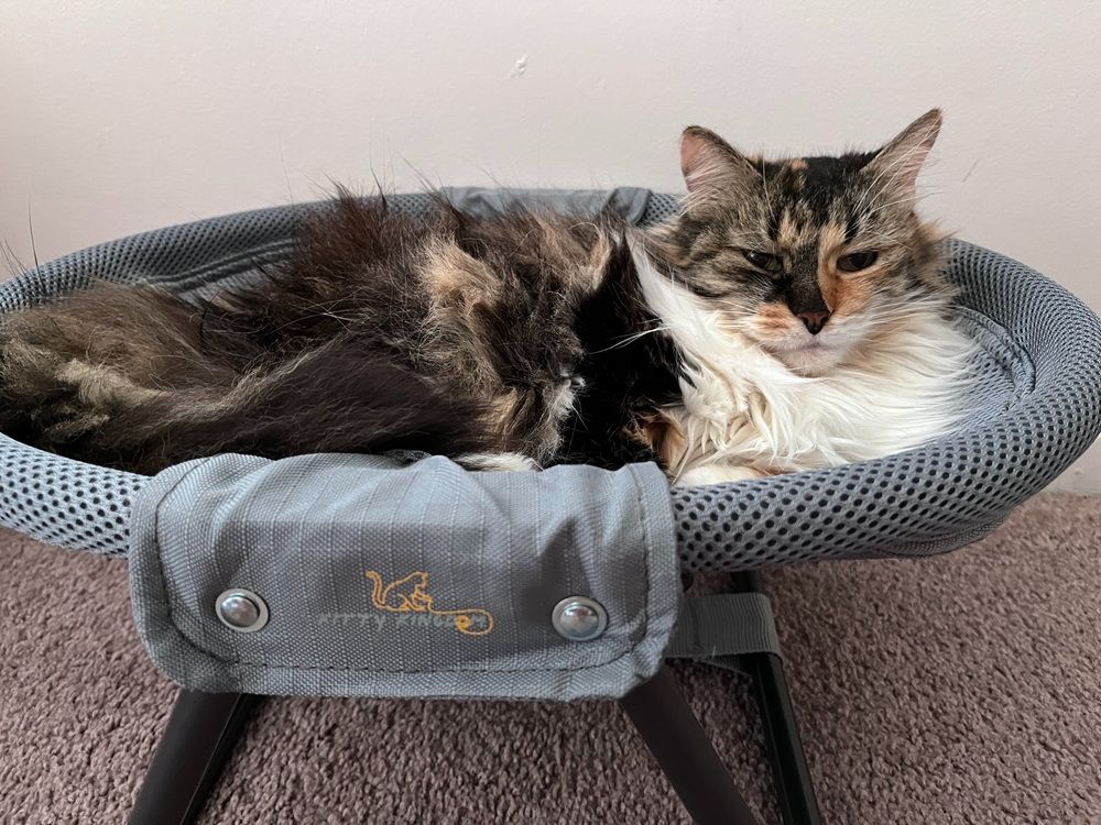 KITTY KINGDOM Elevated Cat Hammock Bed