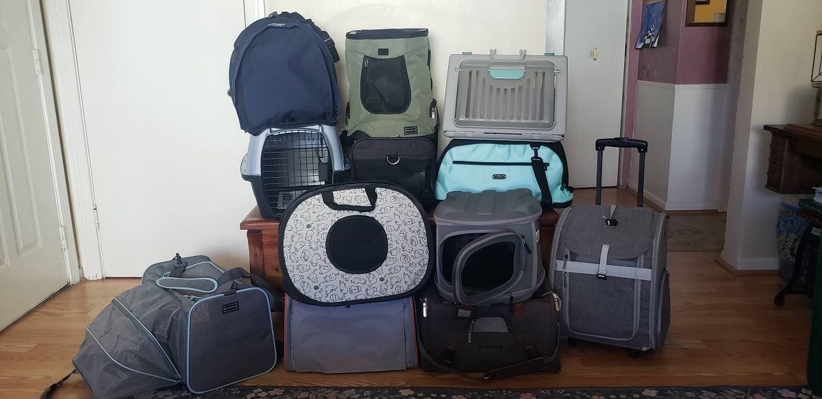 Lineup of the best 12 cat carriers