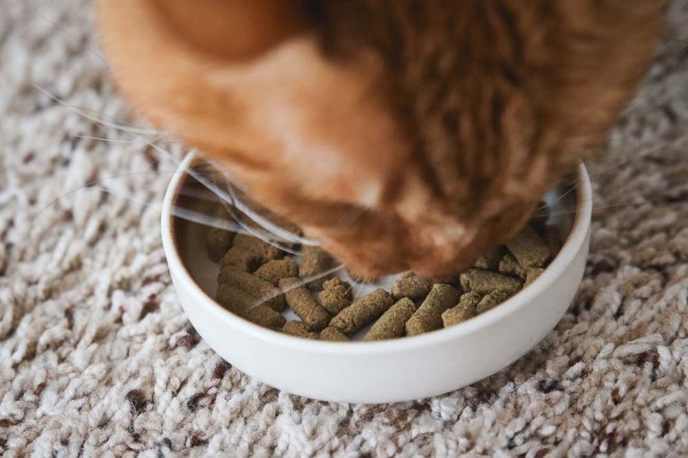 Meowijuana Crunchie Munchie Salmon Cat Treats