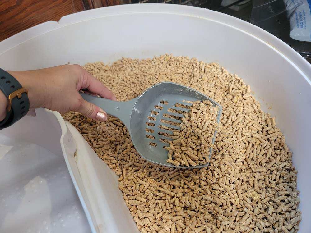 Okocat wood cat litter guide