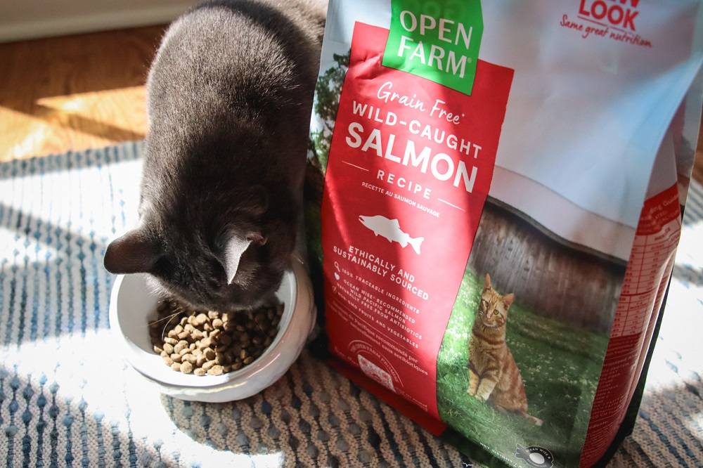 Open Farm Wild Caught Salmon Dry Kibble Cat Food