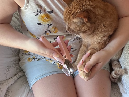 Pawsibility Reinvented Nail Clippers