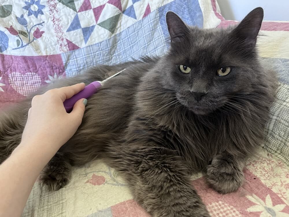 POODLIE Double-Sided Pet Comb