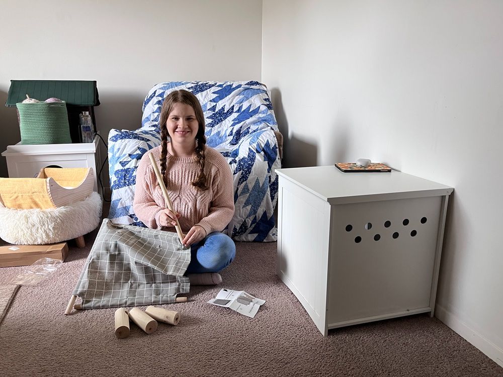 Pozico Elevated Cat Bed