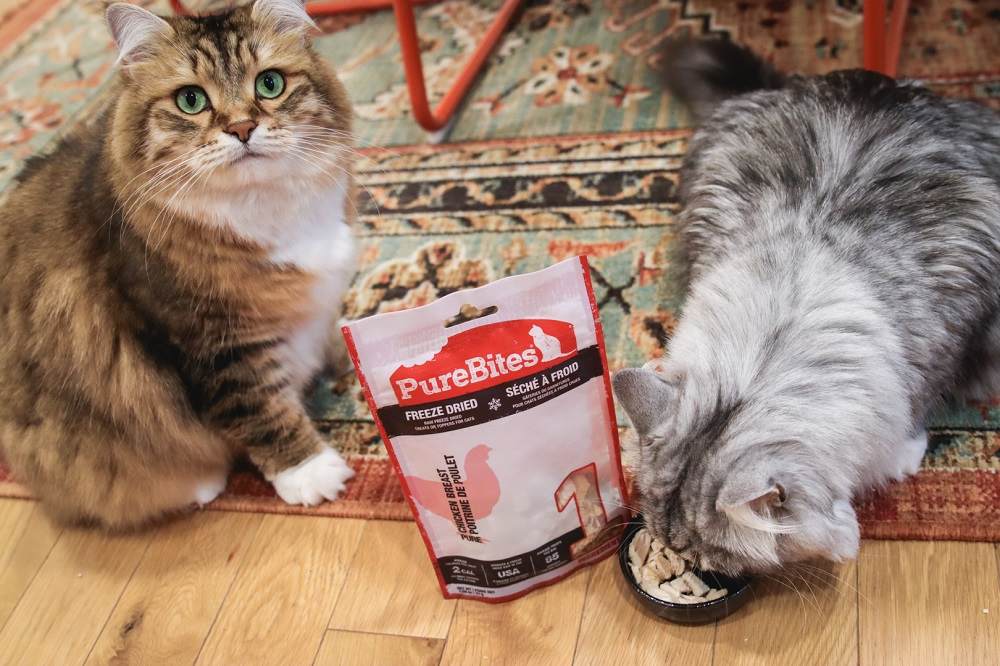 PureBites Chicken Breast Freeze-Dried Raw Cat Treats
