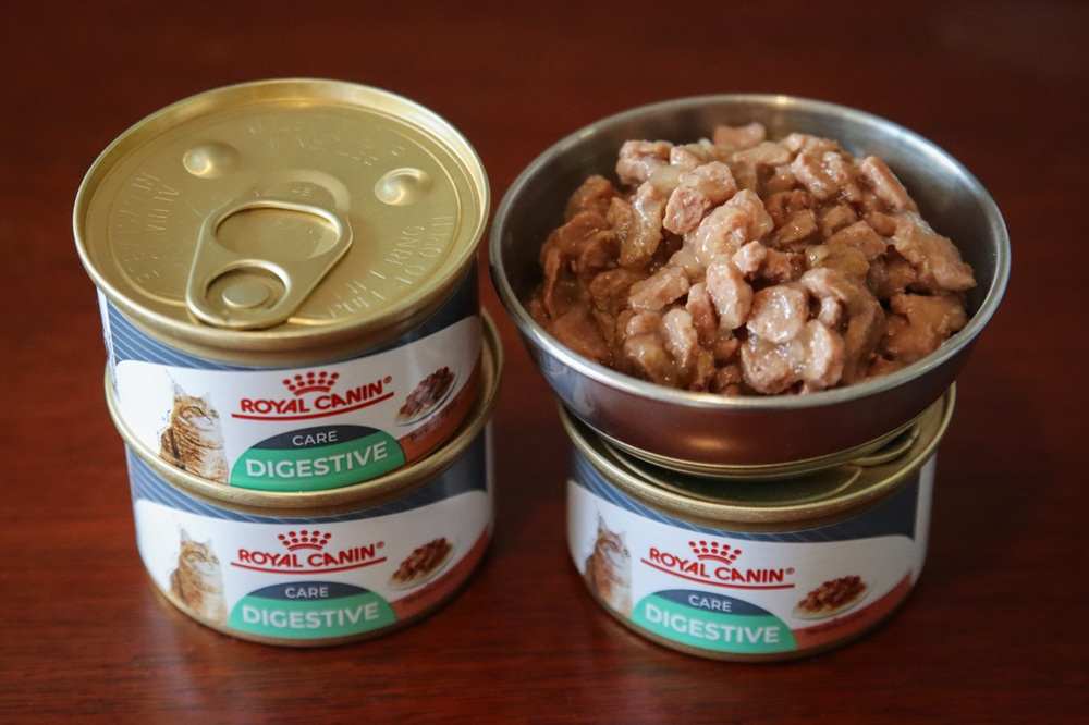 Royal Canin Digest Sensitive Chunks in Gravy Wet Canned Cat Food