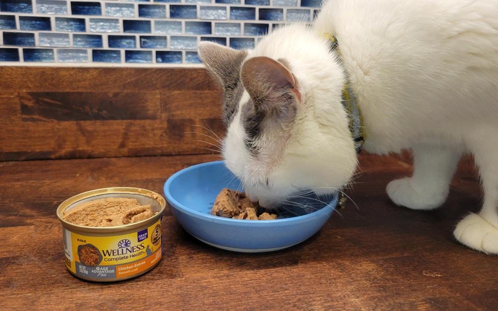 Wellness Complete Health Age Advantage Chicken Pate Wet Cat Food