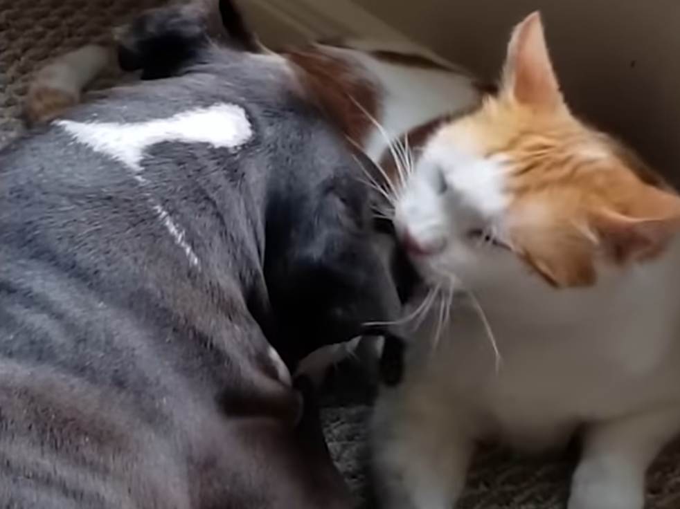 Sharing food–and a past