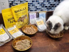 Smalls Fresh Cat Food Review