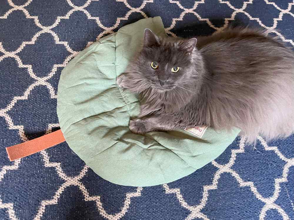 TANGN Cat Sleeping Bag