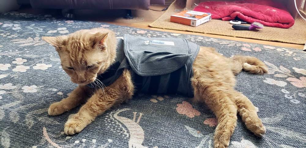 ThunderShirt Anxiety Vest for Cats