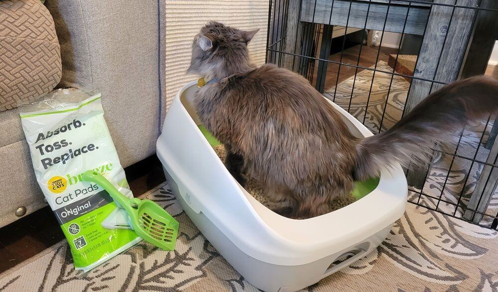 Tidy Cats Breeze Cat Litter Box System