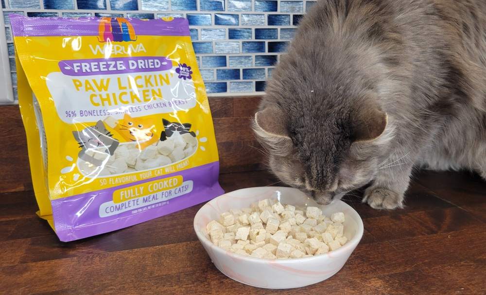 Weruva Freeze-Dried Paw Lickin’ Chicken Fully Cooked Cat Food