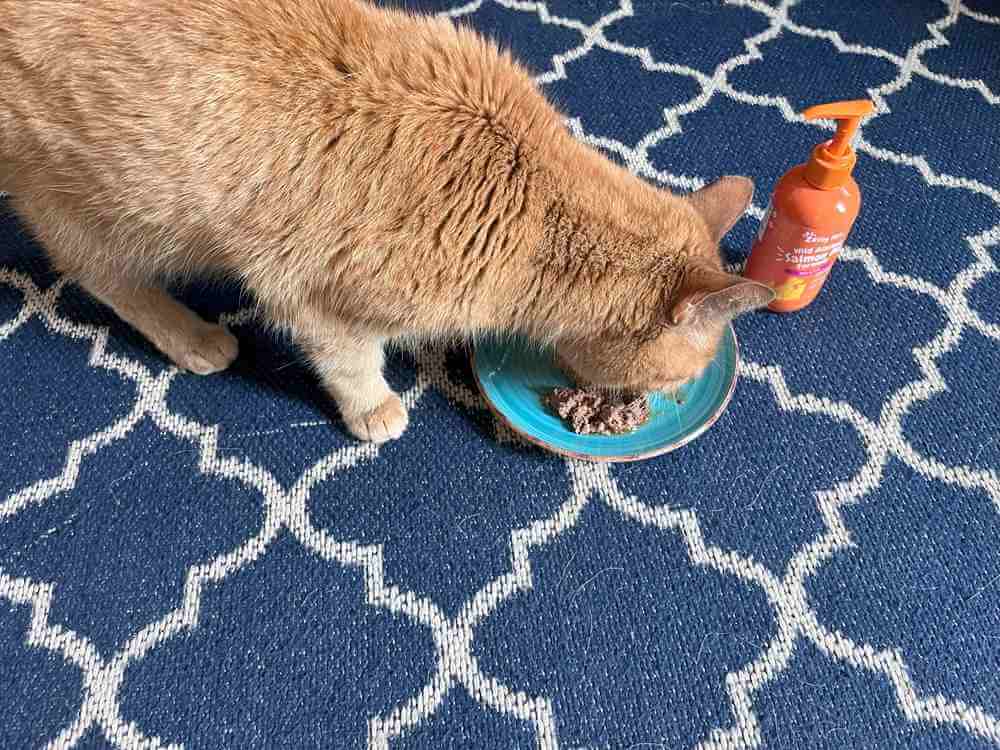 Zesty Paws Wild Alaskan Salmon Oil Formula